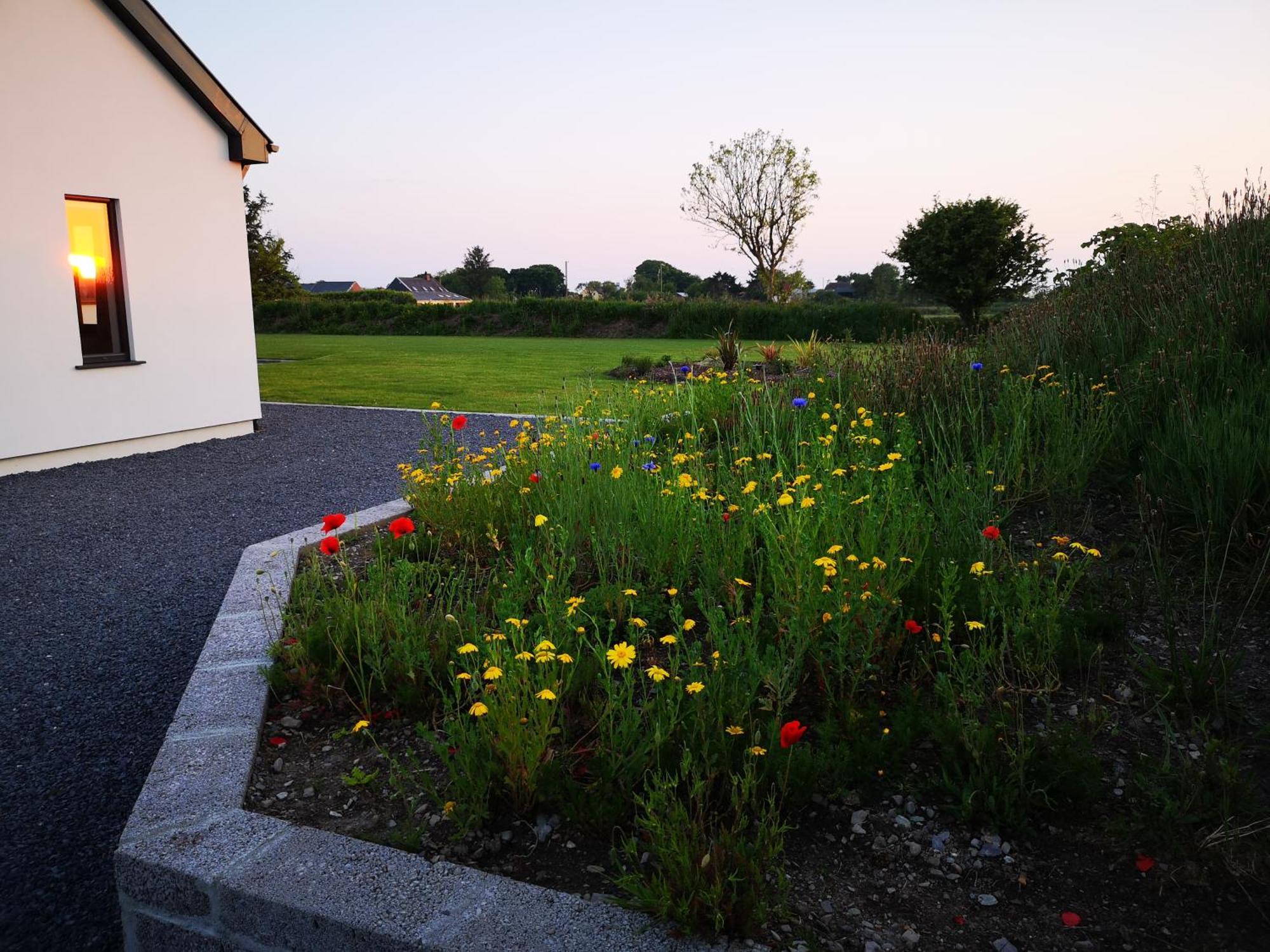 Roaringwater Stay Skibbereen Luaran gambar